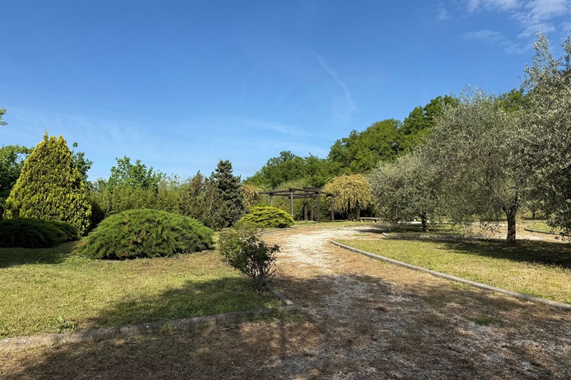 immagine notizia (provincia di terni notizie) San Gemini, domenica 4 maggio nuovo appuntamento con “naturAttiva”: al Parco Violati l’attrice Beatrice Beltrani